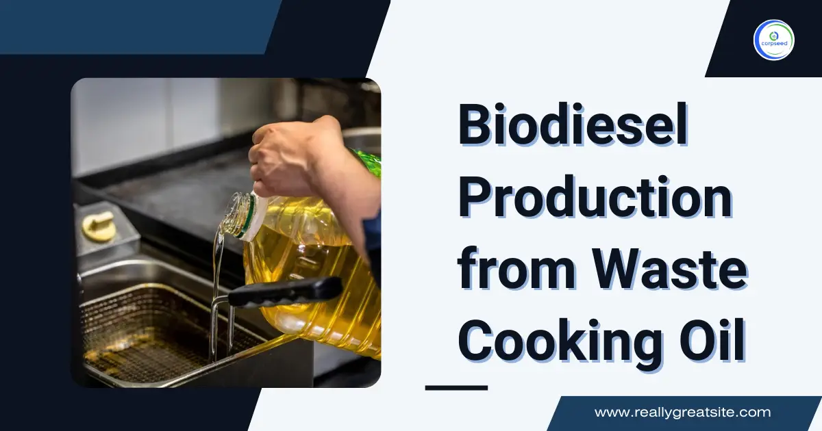 Biodiesel_Production_from_Waste_Cooking_Oil_Corpseed.webp