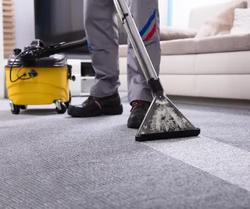 EPR Registration for Carpet Sweepers