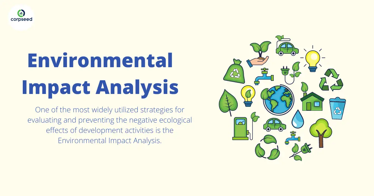 Environmental_Impact_Analysis_Corpseed.webp