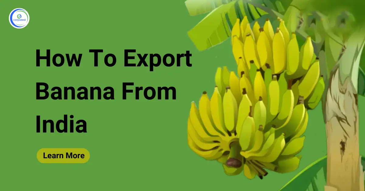 How_To_Export_Banana_From_India_Corpseed.webp