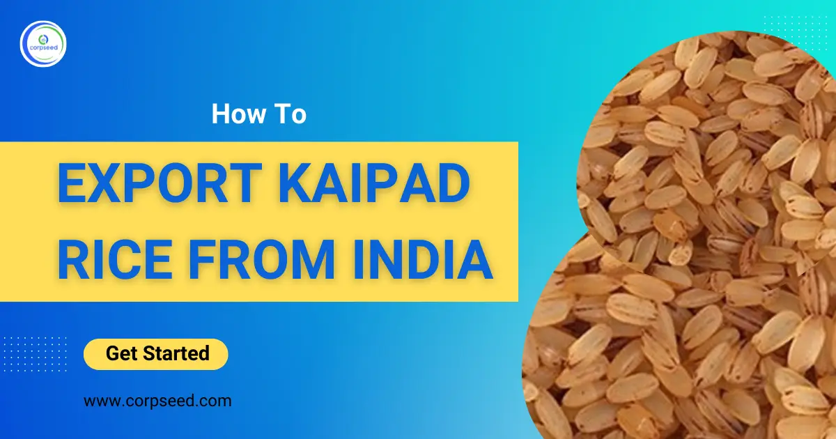 How_To_Export_Kaipad_Rice_From_India_Corpseed.webp