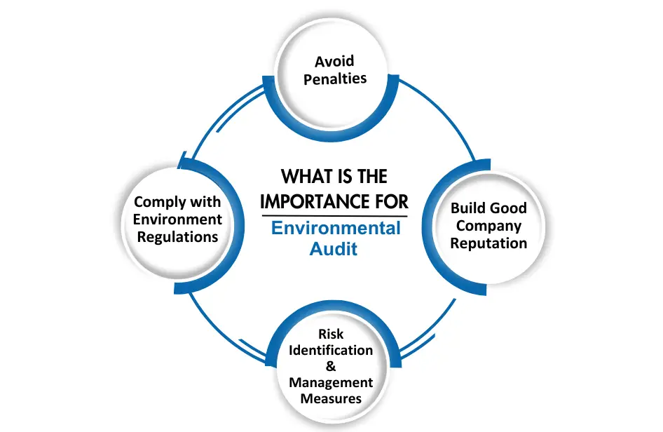 Importance for Environmental Audit