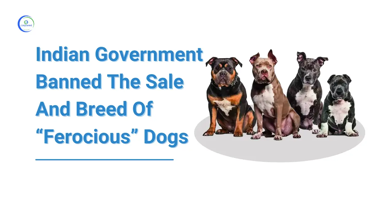 23 Ferocious Pet Dog Breeds Banned In India: American Bulldog