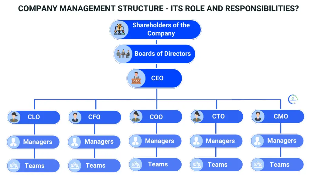 Management of the Company Role And Responsibilities