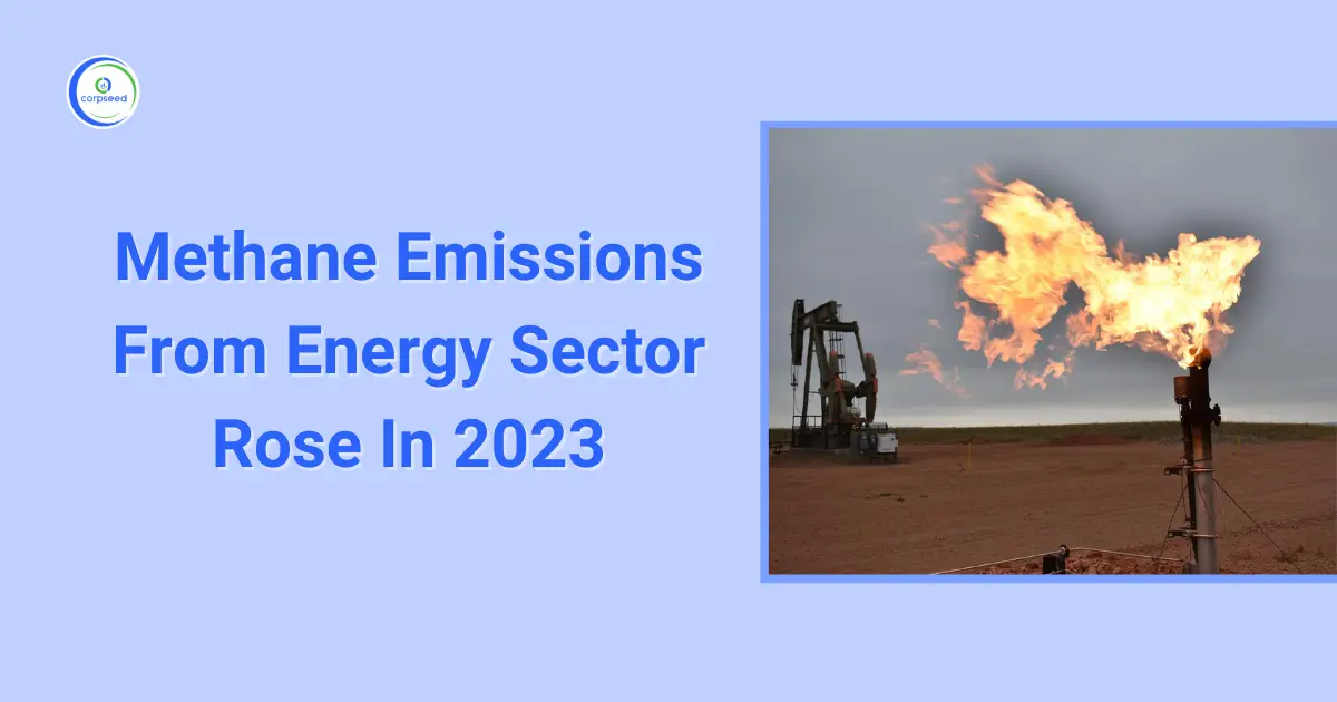 Methane_Emissions_From_Energy_Sector_Rose_In_2023_Corpseed.webp