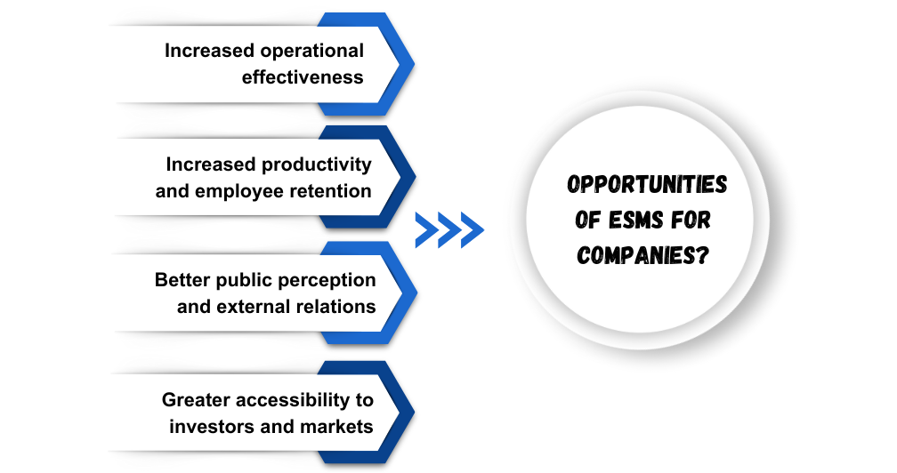 Opportunities of ESMS for Companies