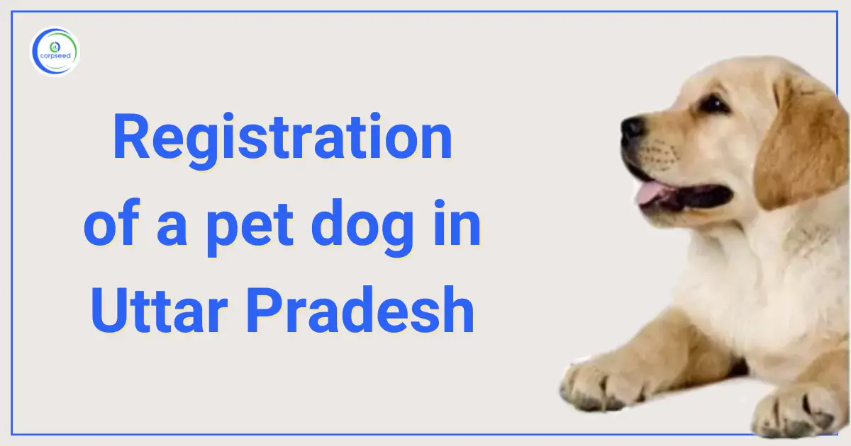Registration of a pet dog in Uttar Pradesh - Corpseed