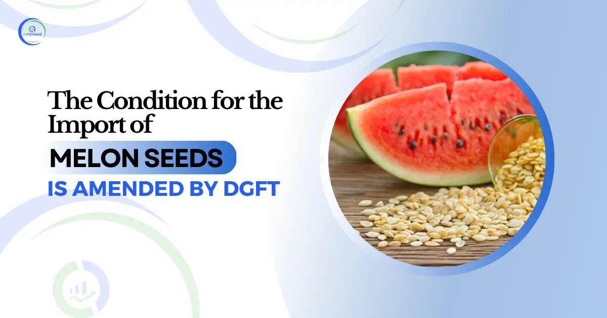 THE_CONDITION_FOR_THE_IMPORT_OF_MELON_SEEDS_IS_AMENDED_BY_DGFT.webp