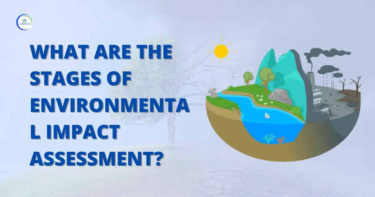 What_Are_The_Stages_Of_Environmental_Impact_Assessment_Corpseed.webp