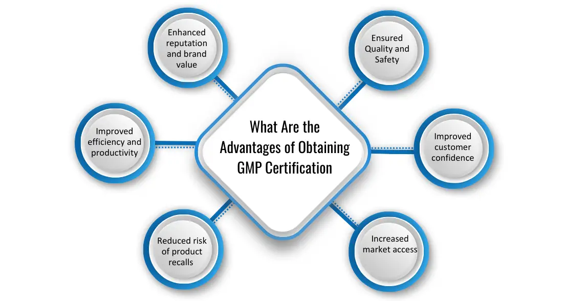 What Are the Advantages of Obtaining GMP Certification