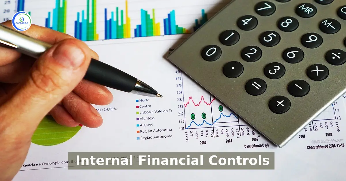 What_Is_Internal_Financial_Control_corpseed.webp