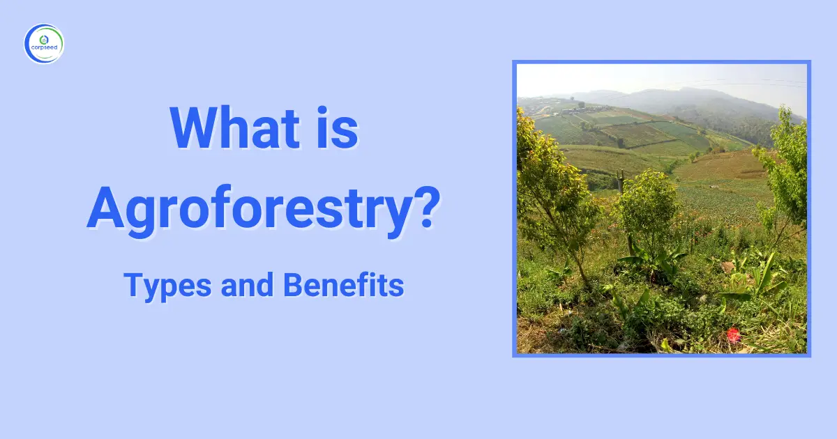 What_is_Agroforestry_Corpseed.webp