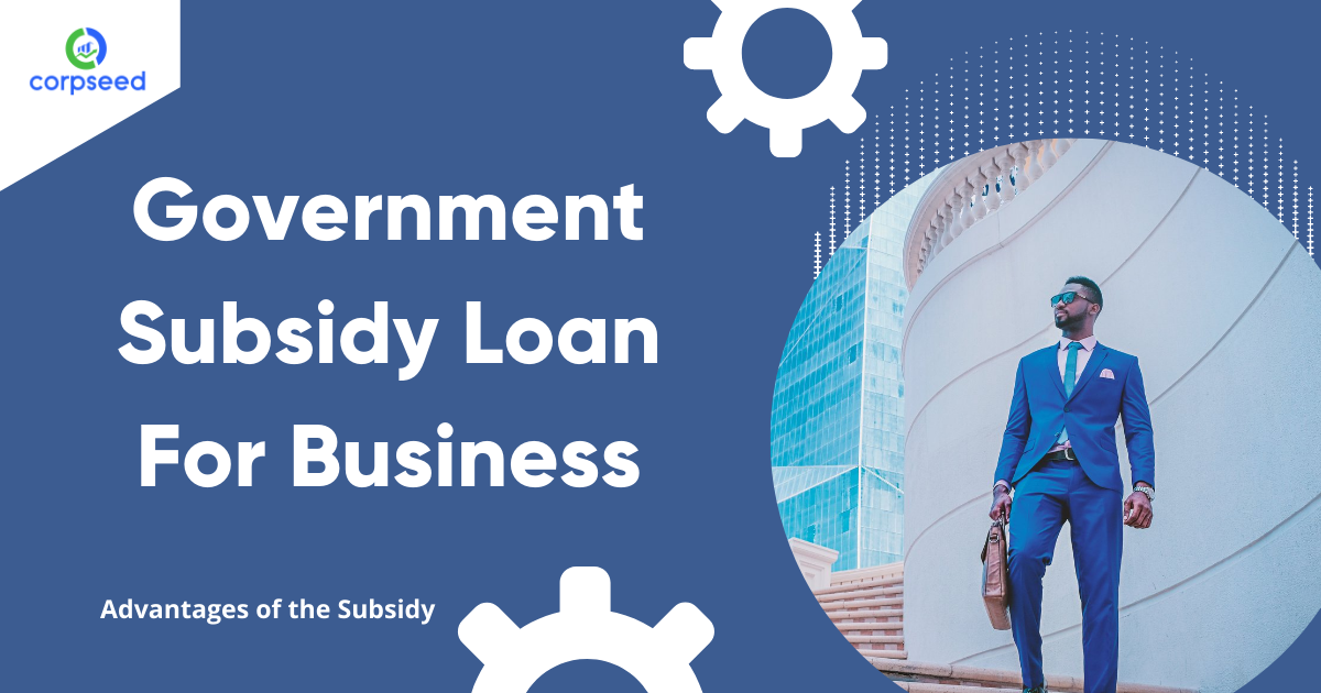 government-subsidy-load-for-business-corpseed.png