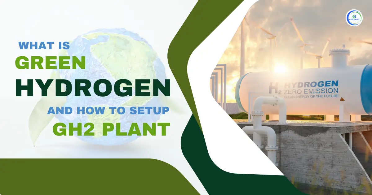 how_to_set_up_a_green_hydrogen_production_plant_Corpseed.webp