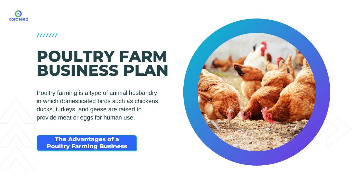Poultry Farm Business Plan | Poultry Farming Business in India - Corpseed